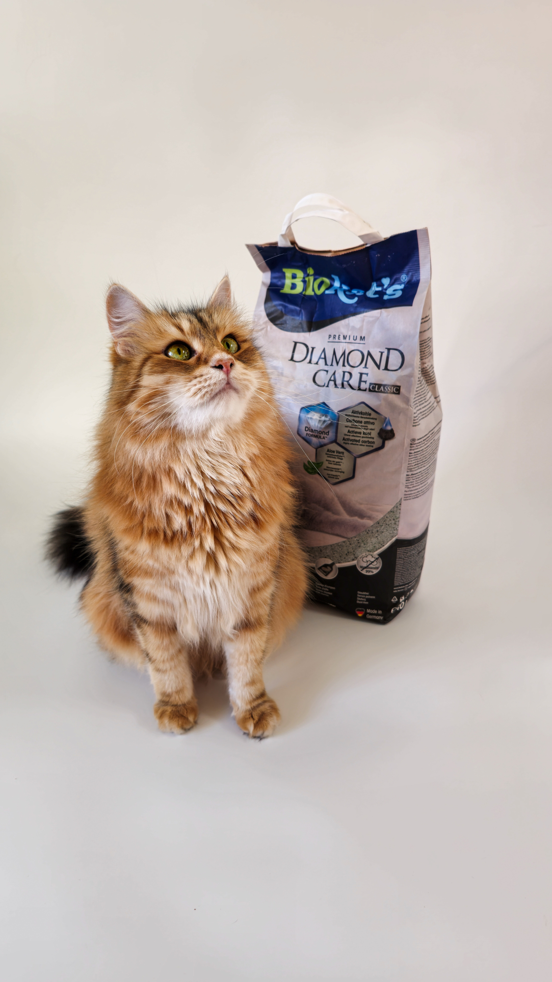 Biokat's Kundenbewertungen > FELLBRISE >  | GIMBORN