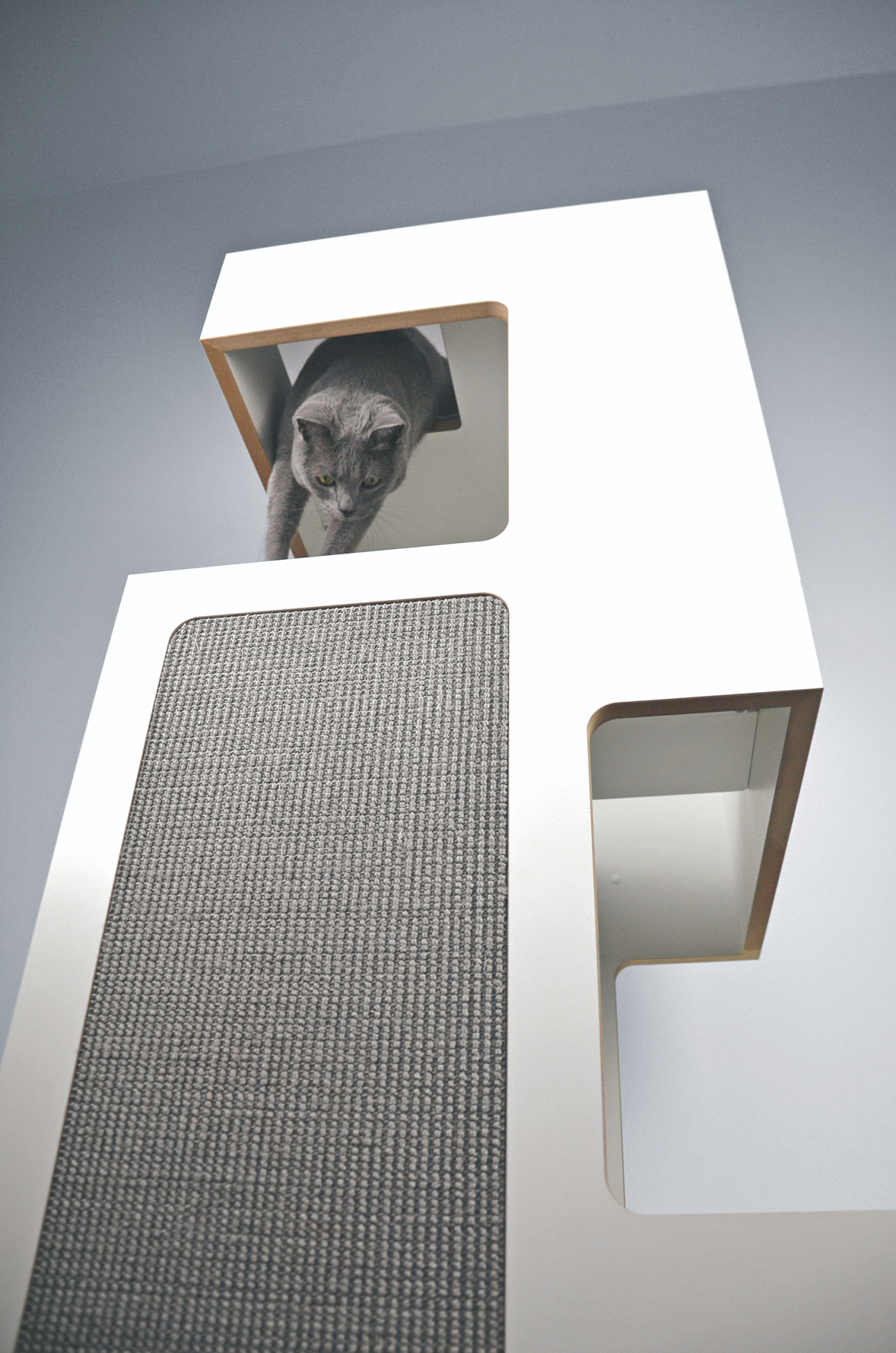 Porträt Stylecats > Galerie Möbel >  | GIMBORN