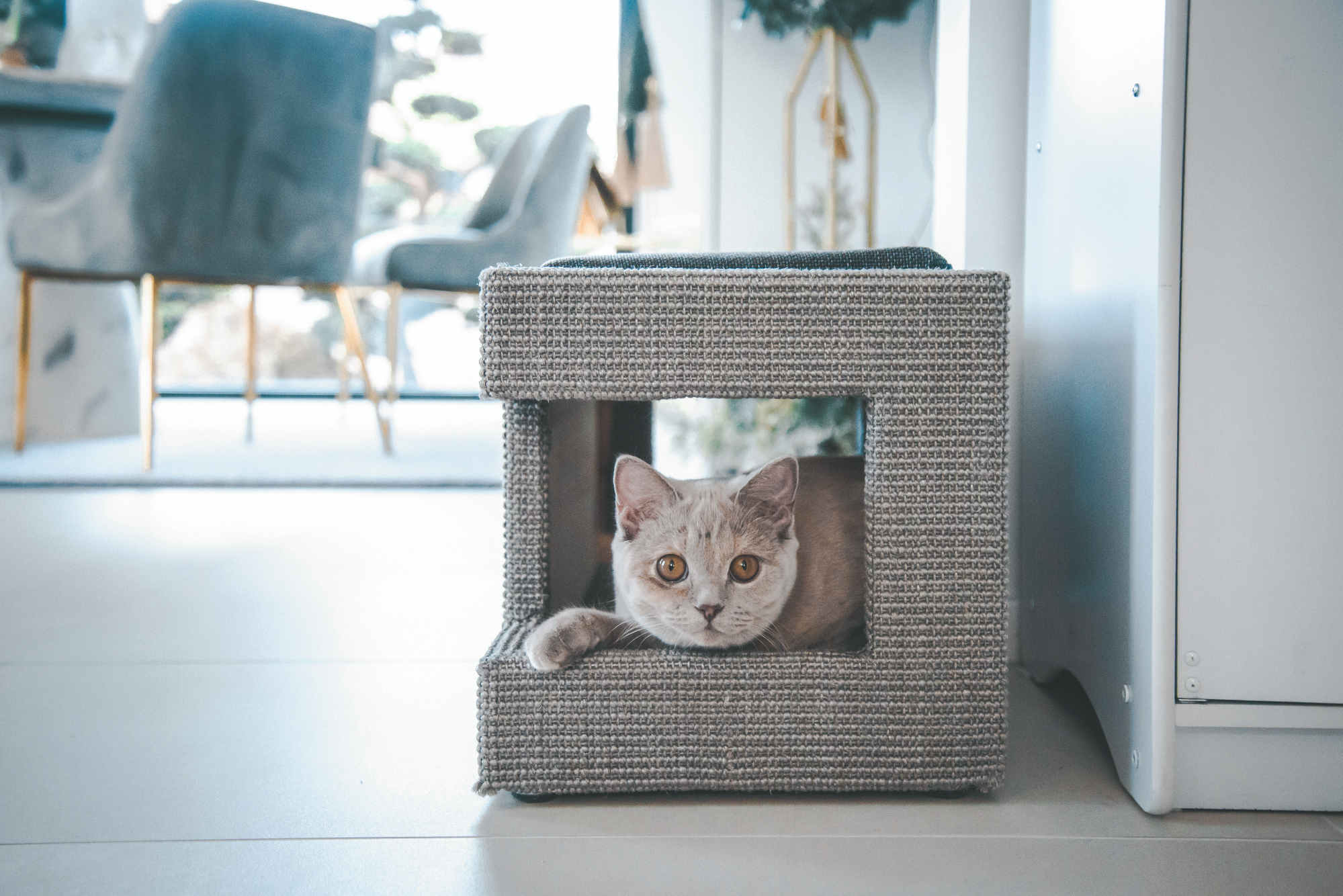 Porträt Stylecats > Galerie Möbel >  | GIMBORN