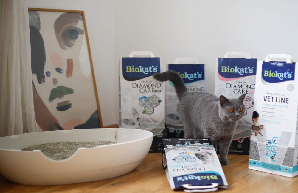 Bio kat’s > Diamond Care | GIMBORN