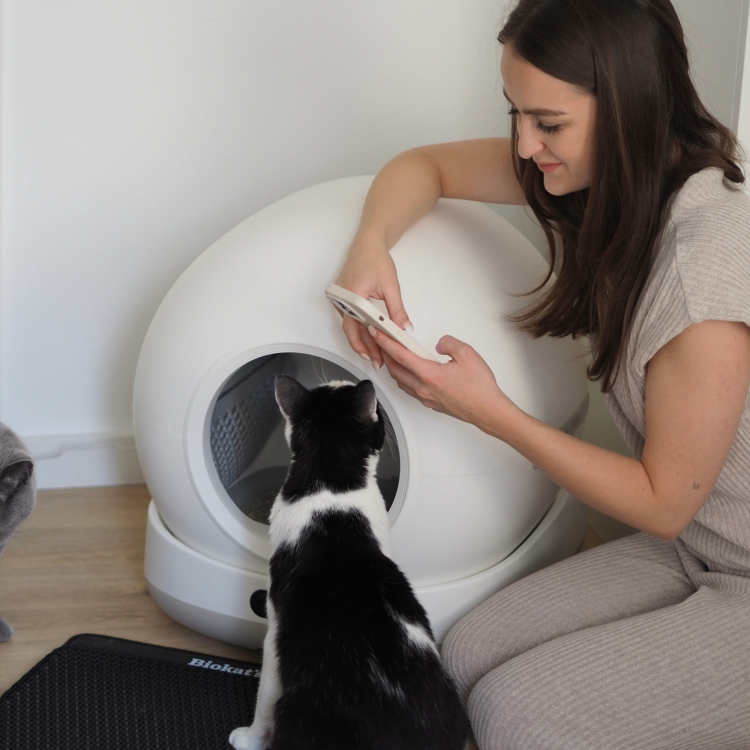 Aktionen > Biokat's C1000 Katzentoilette | GIMBORN