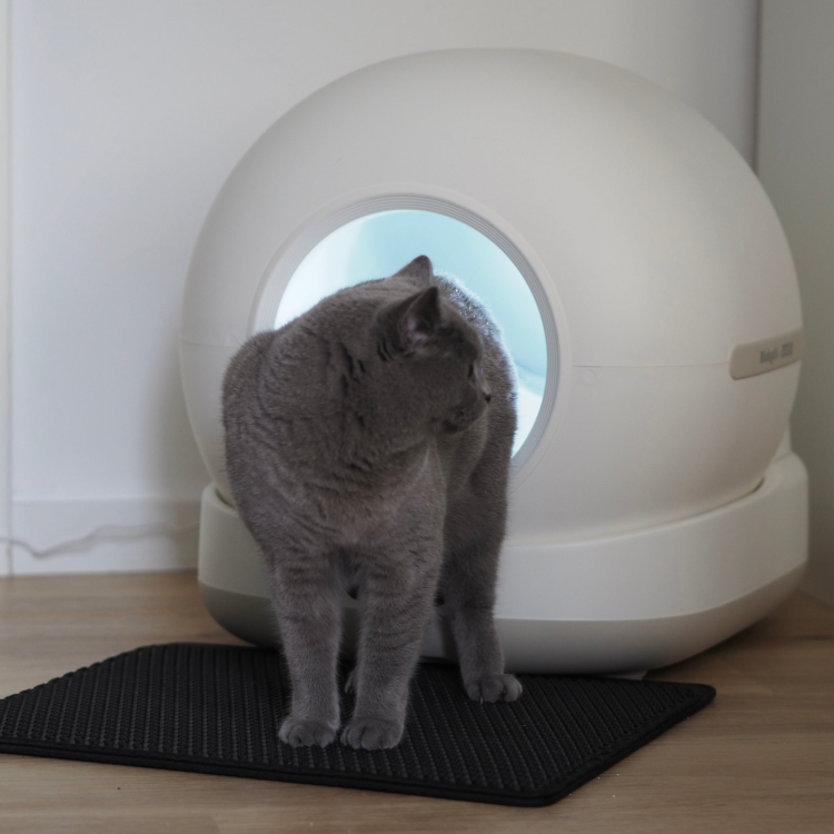 Aktionen > Biokat's C1000 Katzentoilette | GIMBORN