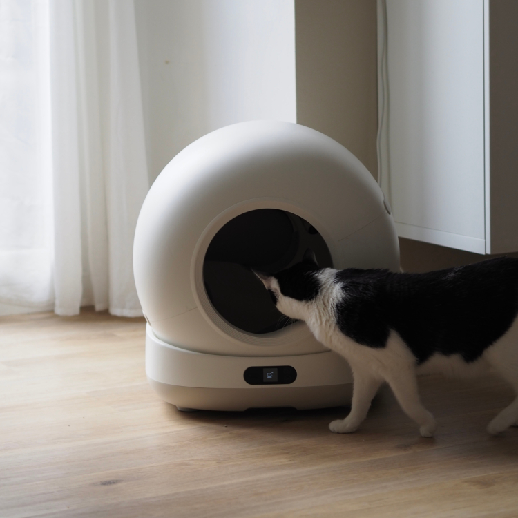 Aktionen > Biokat's C1000 Katzentoilette | GIMBORN