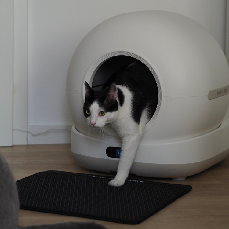 Aktionen > Biokat's C1000 Katzentoilette | GIMBORN