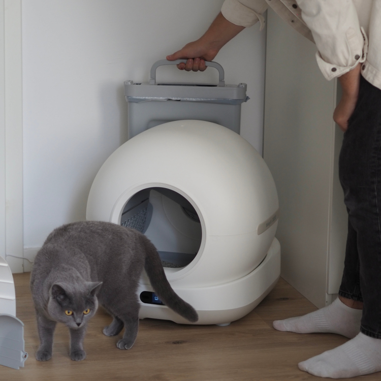 Aktionen > Biokat's C1000 Katzentoilette | GIMBORN