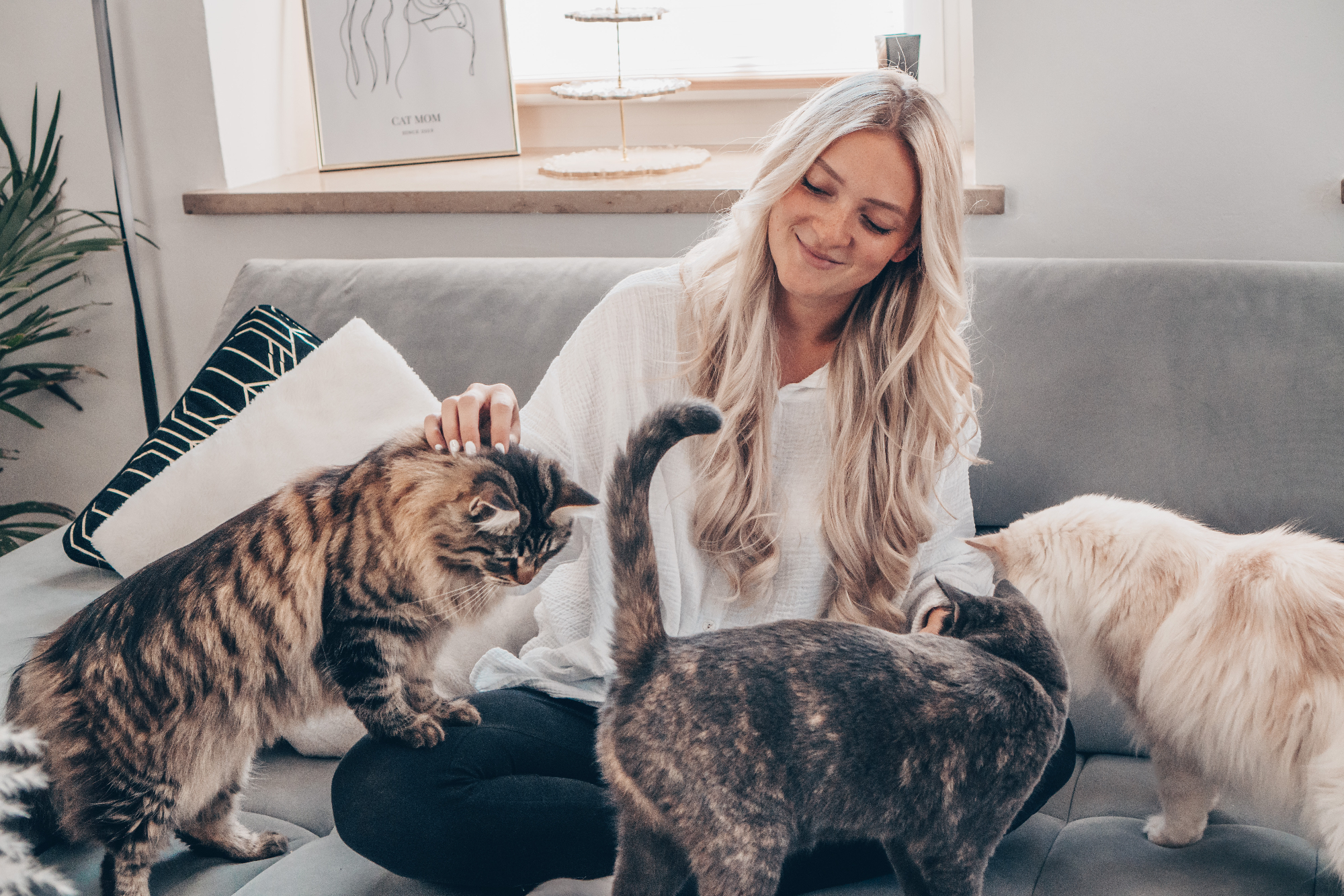 Porträt Herzenskatzen | GIMBORN