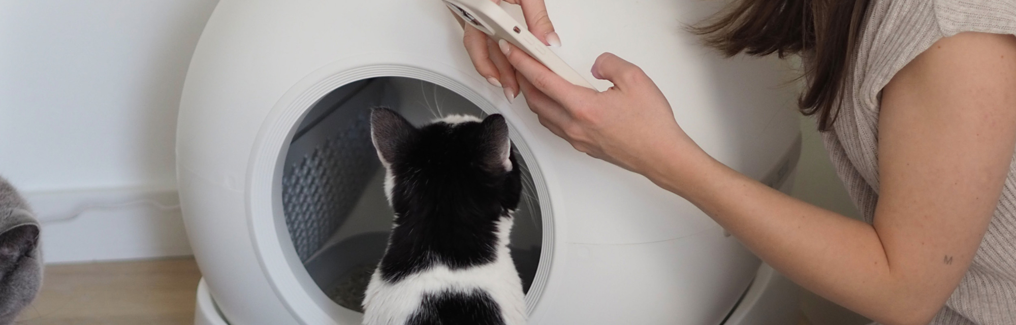 Biokat's C1000 Katzentoilette | GIMBORN