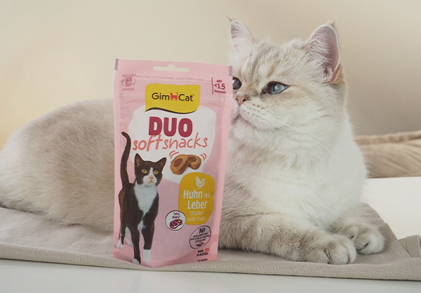 Gim Cat > Duo Soft Snacks | GIMBORN