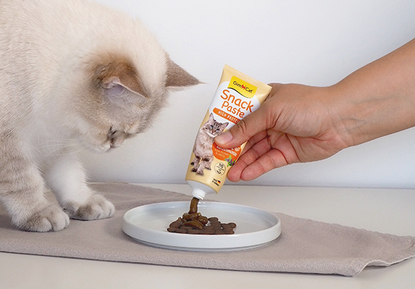 Gim Cat > Snack Pasten | GIMBORN