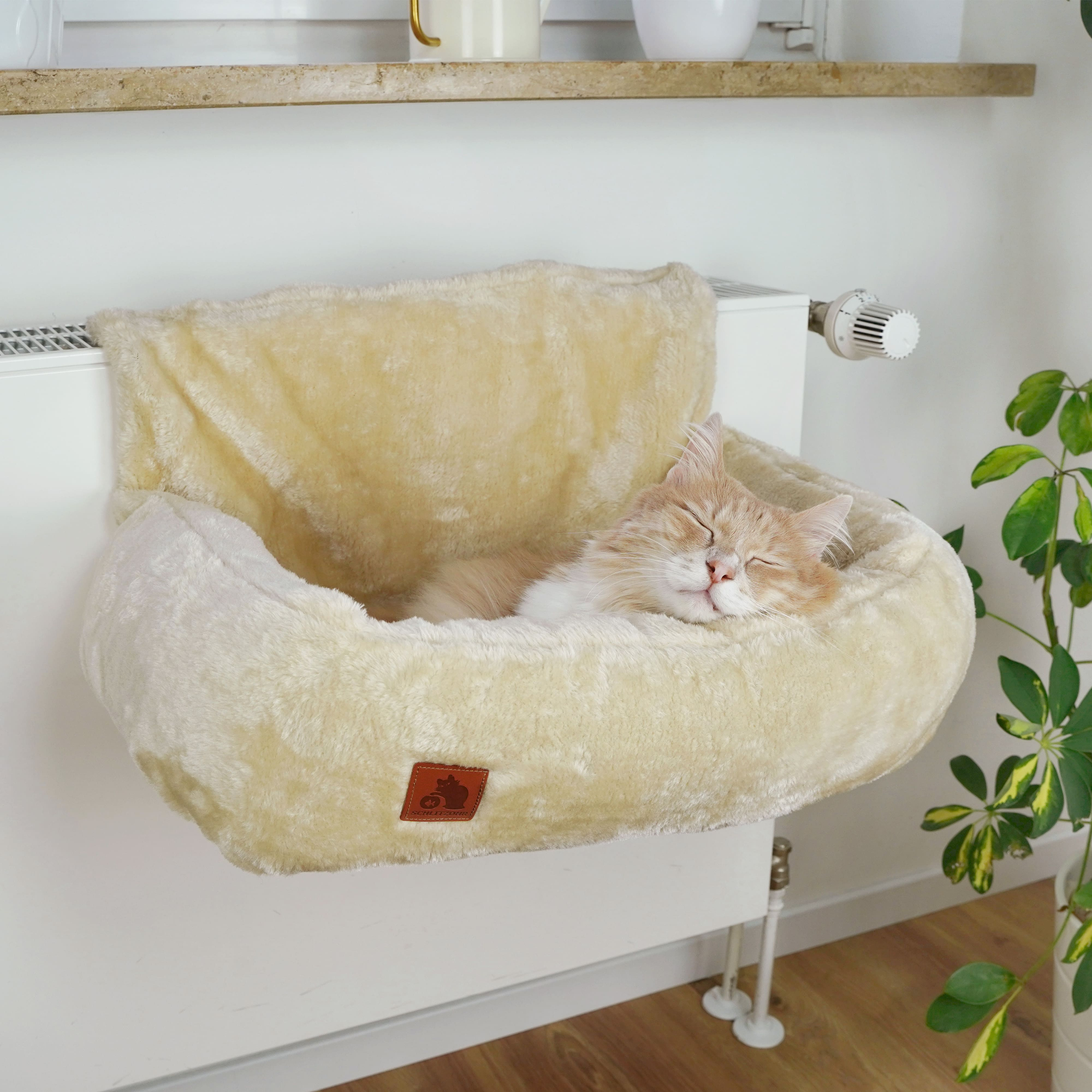 Porträt Schlitzohr > Galerie Shop > Heizungsliege | GIMBORN