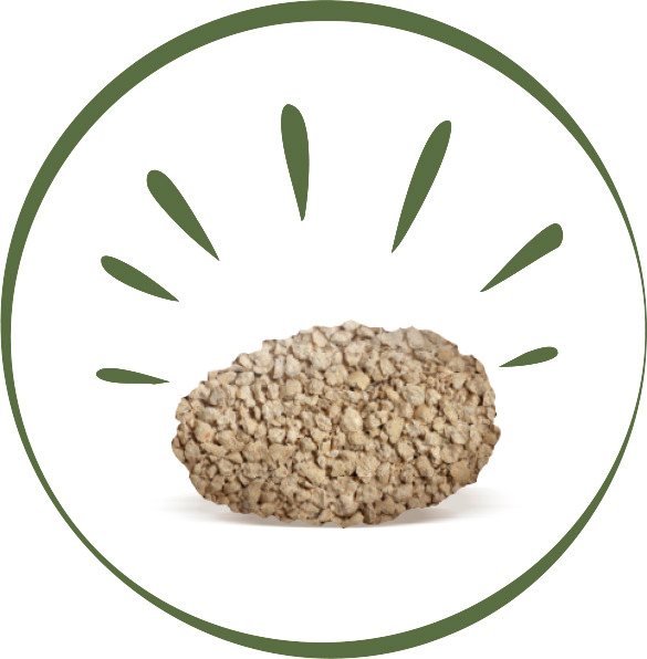 Unsere neue Pflanzenfaser-Katzenstreu ist da – Biokat's Organic Care Plant fibres: WE CARE. > Biokats Organic Vorteile USPS > Organic Care Plant fibres besitzt die volle Biokat's-Klumpenpower! | GIMBORN