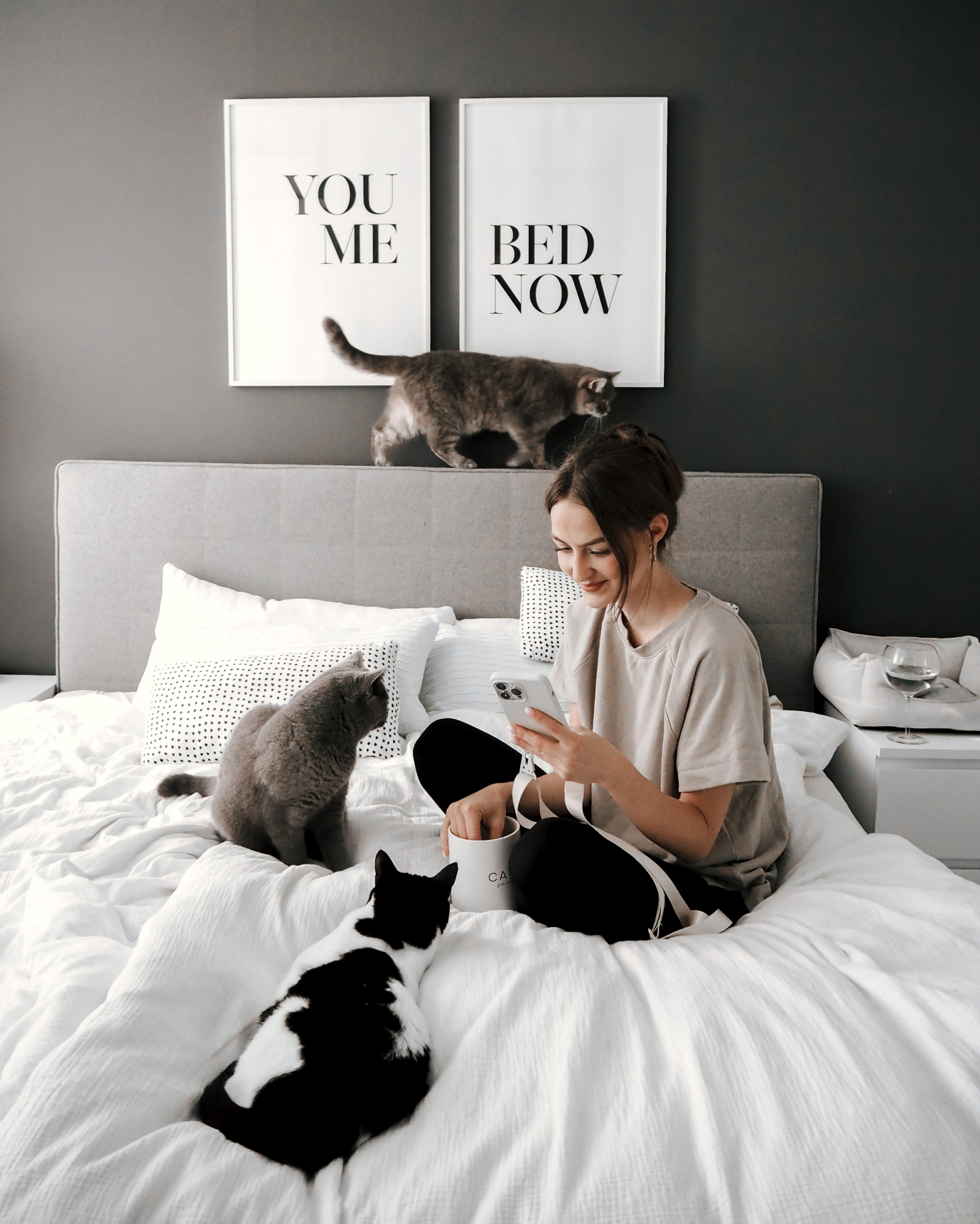 GimCat Kundenbewertungen > MARLEENSCATDIARY >  | GIMBORN