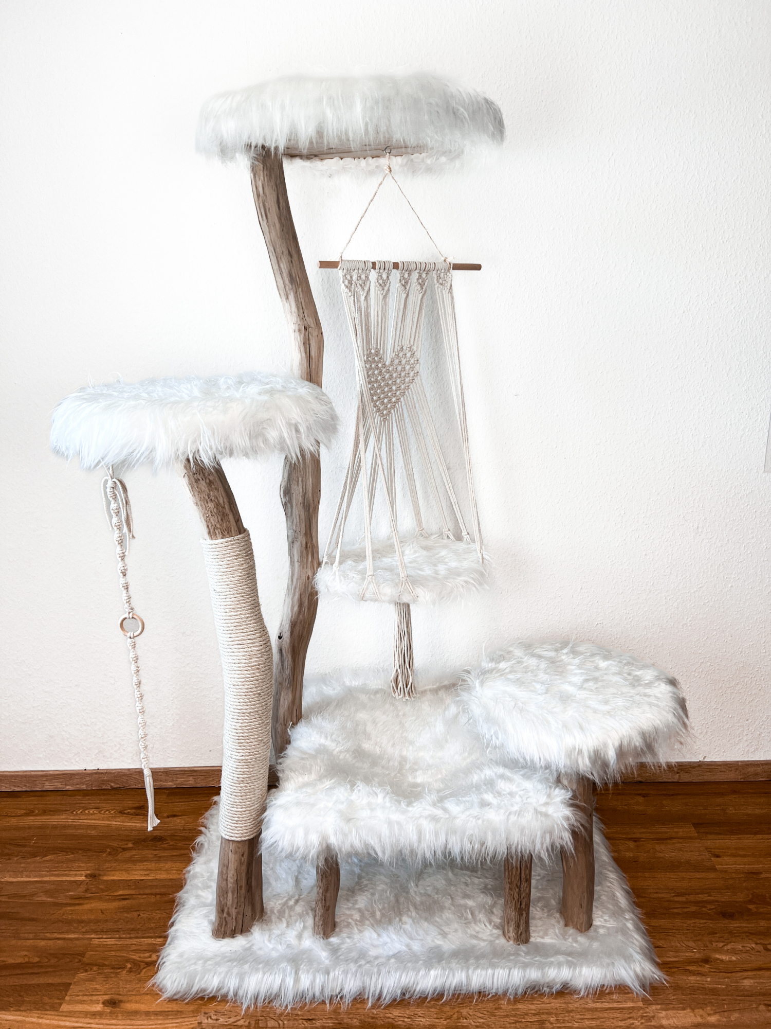 Porträt Herzenskatzen > Galerie >  | GIMBORN