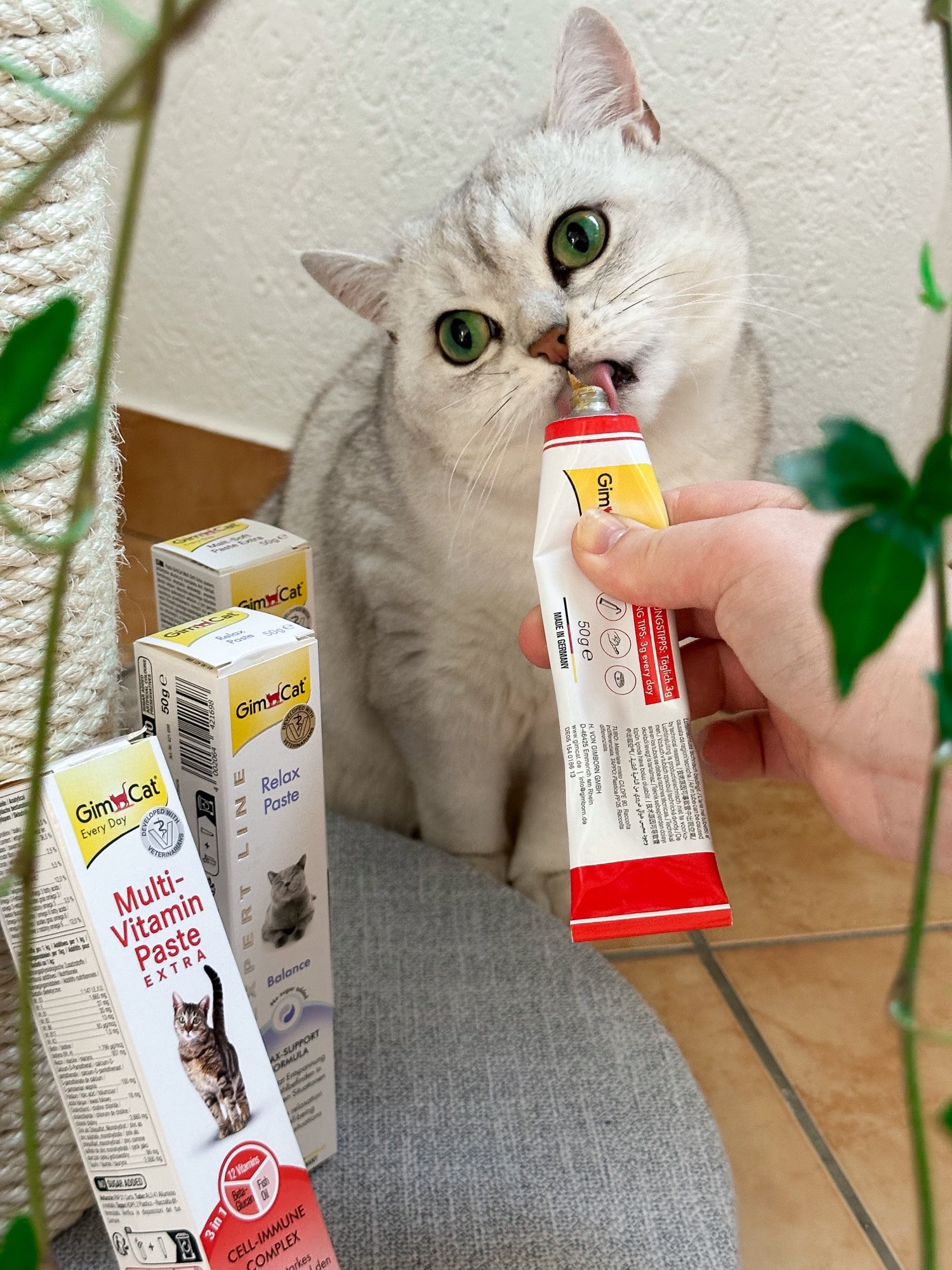 GimCat Kundenbewertungen > KIRA MILA BSH >  | GIMBORN