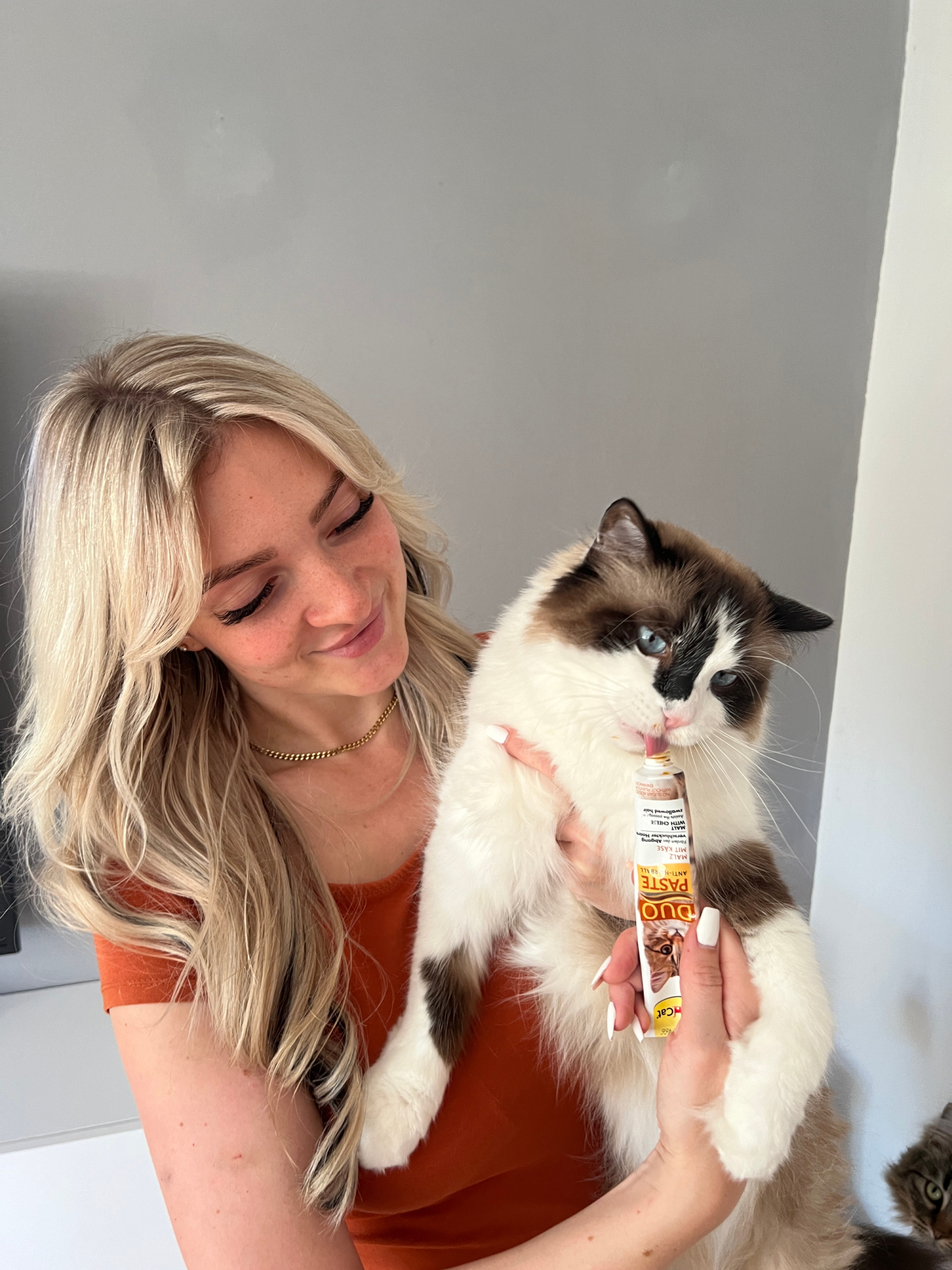 GimCat Kundenbewertungen > _HERZENSKATZEN_ >  | GIMBORN