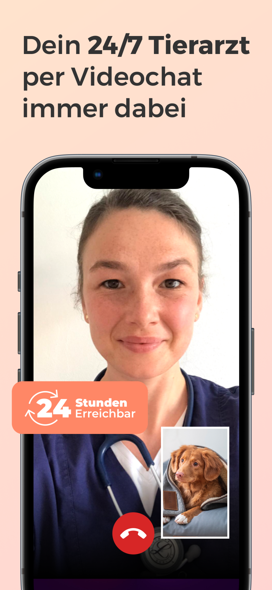 Pfotendoctor-App > Galerie App >  | GIMBORN